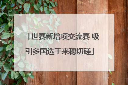 世赛新增项交流赛 吸引多国选手来穗切磋