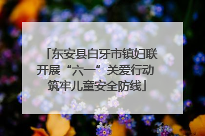 东安县白牙市镇妇联开展“六一”关爱行动 筑牢儿童安全防线