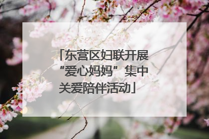 东营区妇联开展“爱心妈妈”集中关爱陪伴活动