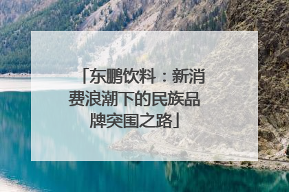 东鹏饮料：新消费浪潮下的民族品牌突围之路