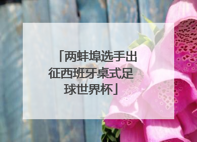 两蚌埠选手出征西班牙桌式足球世界杯