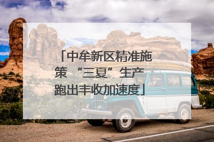 中牟新区精准施策 “三夏”生产跑出丰收加速度