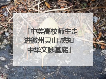 中美高校师生走进徽州灵山 感知中华文脉基底