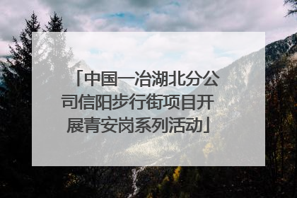 中国一冶湖北分公司信阳步行街项目开展青安岗系列活动
