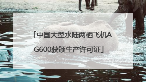 中国大型水陆两栖飞机AG600获颁生产许可证