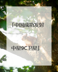 中国成功发射中星9C卫星