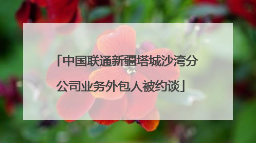 中国联通新疆塔城沙湾分公司业务外包人被约谈