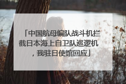 中国航母编队战斗机拦截日本海上自卫队巡逻机，我驻日使馆回应