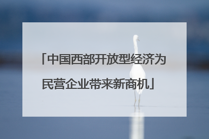 中国西部开放型经济为民营企业带来新商机