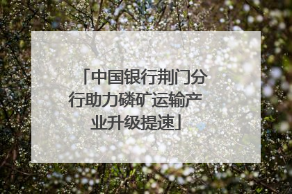 中国银行荆门分行助力磷矿运输产业升级提速