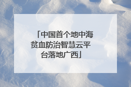中国首个地中海贫血防治智慧云平台落地广西