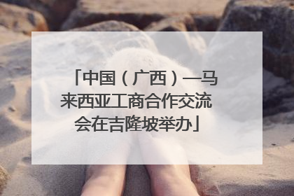 中国（广西）—马来西亚工商合作交流会在吉隆坡举办