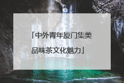 中外青年厦门集美品味茶文化魅力