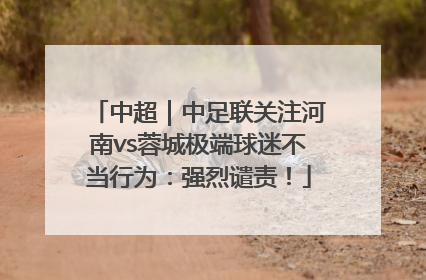 中超｜中足联关注河南vs蓉城极端球迷不当行为：强烈谴责！