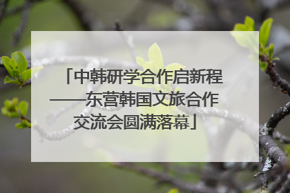 中韩研学合作启新程——东营韩国文旅合作交流会圆满落幕