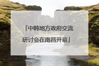 中韩地方政府交流研讨会在南昌开幕
