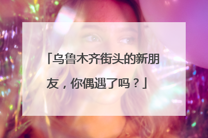 乌鲁木齐街头的新朋友，你偶遇了吗？