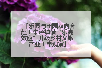 乐园与田园双向奔赴！朱泾镇借“乐高效应”升级乡村文旅产业〡申观察