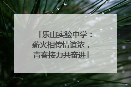 乐山实验中学：薪火相传情谊浓，青春接力共奋进