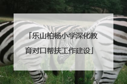 乐山柏杨小学深化教育对口帮扶工作建设