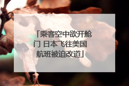 乘客空中欲开舱门 日本飞往美国航班被迫改道