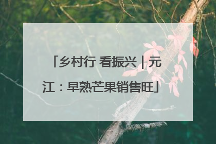 乡村行 看振兴｜元江：早熟芒果销售旺