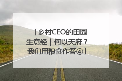 乡村CEO的田园生意经｜何以天府？我们用粮食作答④