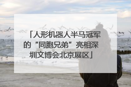 人形机器人半马冠军的“同胞兄弟”亮相深圳文博会北京展区