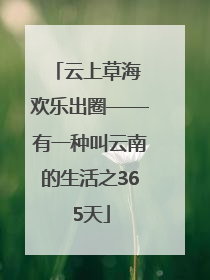 云上草海 欢乐出圈——有一种叫云南的生活之365天