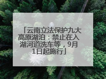 云南立法保护九大高原湖泊：禁止在入湖河道洗车等，9月1日起施行