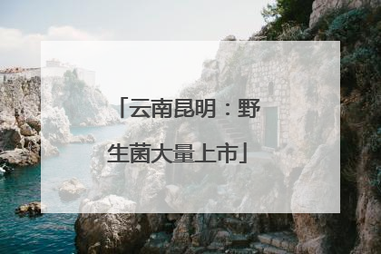 云南昆明：野生菌大量上市