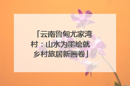 云南鲁甸尤家湾村：山水为墨绘就乡村旅居新画卷