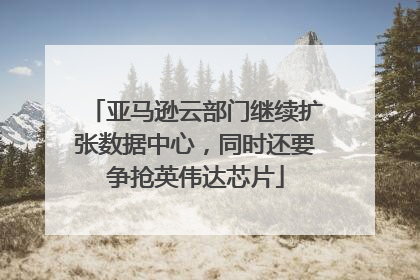亚马逊云部门继续扩张数据中心，同时还要争抢英伟达芯片