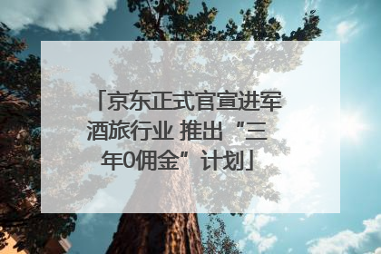 京东正式官宣进军酒旅行业 推出“三年0佣金”计划