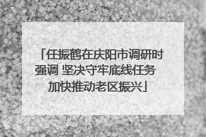 任振鹤在庆阳市调研时强调 坚决守牢底线任务 加快推动老区振兴