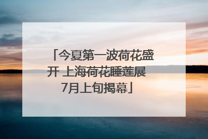 今夏第一波荷花盛开 上海荷花睡莲展7月上旬揭幕