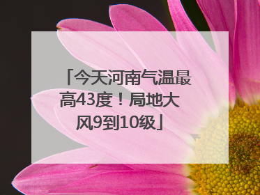 今天河南气温最高43度！局地大风9到10级