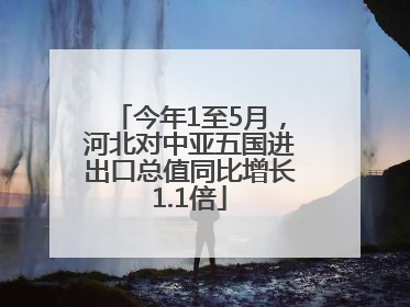 今年1至5月，河北对中亚五国进出口总值同比增长1.1倍