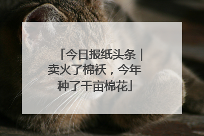 今日报纸头条｜卖火了棉袄，今年种了千亩棉花