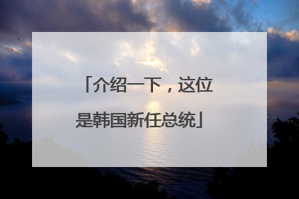 介绍一下，这位是韩国新任总统