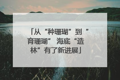 从“种珊瑚”到“育珊瑚” 海底“造林”有了新进展