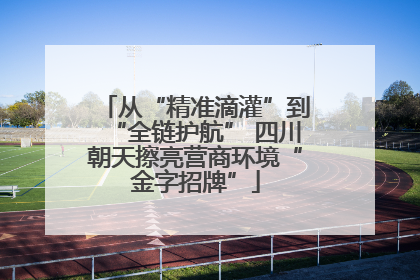 从“精准滴灌”到“全链护航” 四川朝天擦亮营商环境“金字招牌”