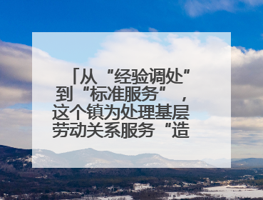 从“经验调处”到“标准服务”，这个镇为处理基层劳动关系服务“造标尺”