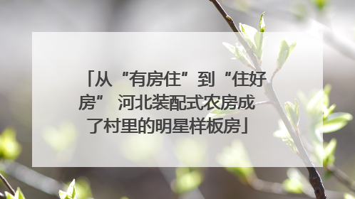从“有房住”到“住好房” 河北装配式农房成了村里的明星样板房