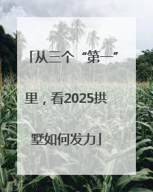 从三个“第一”里，看2025拱墅如何发力