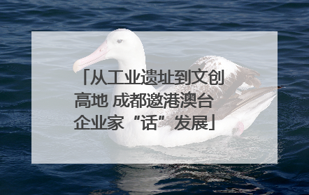从工业遗址到文创高地 成都邀港澳台企业家“话”发展