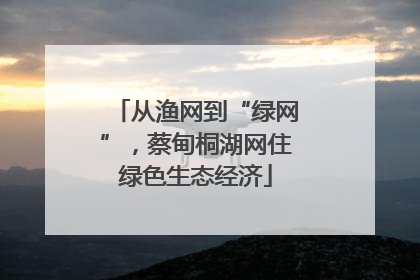 从渔网到“绿网”，蔡甸桐湖网住绿色生态经济