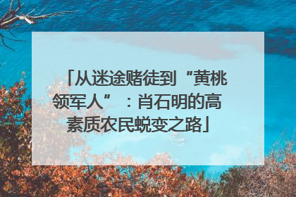 从迷途赌徒到“黄桃领军人”：肖石明的高素质农民蜕变之路