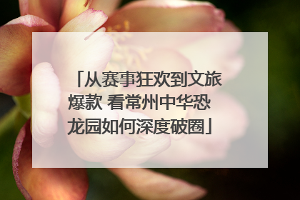 从赛事狂欢到文旅爆款 看常州中华恐龙园如何深度破圈