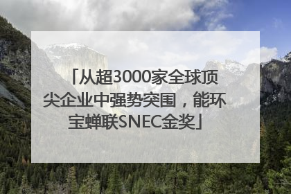 从超3000家全球顶尖企业中强势突围，能环宝蝉联SNEC金奖